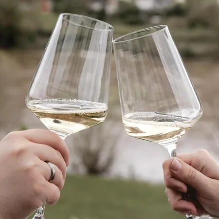 Zohe Alpha Mit Moselblick