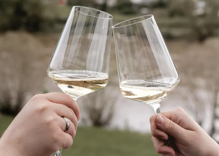 Zohe Alpha Mit Moselblick